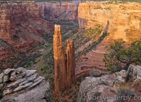Desert Southwest